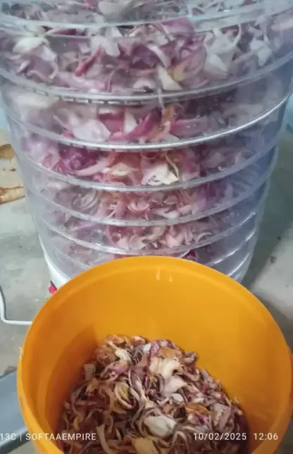 Fruit dehydrator - Image 3