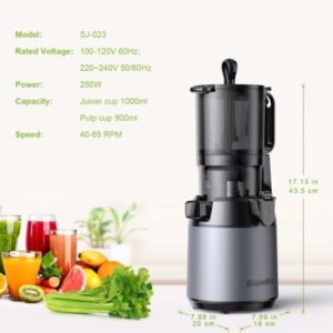 BioloMix Wide Mouth Slow Juicer SJ-023