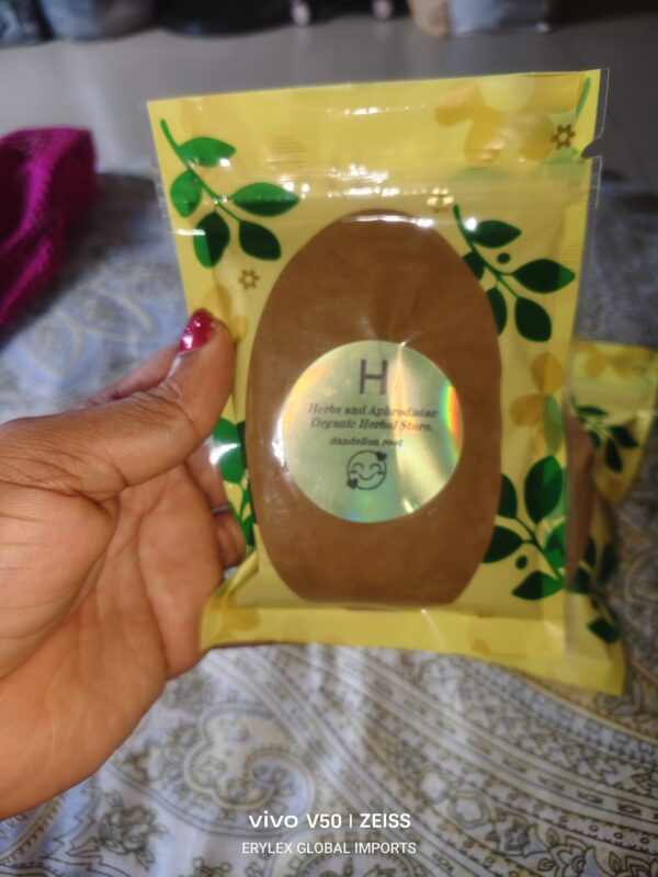 Dandelion root extract 100g